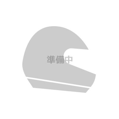 ライダー/ドライバー