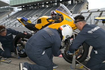 C8C_3933a.JPG