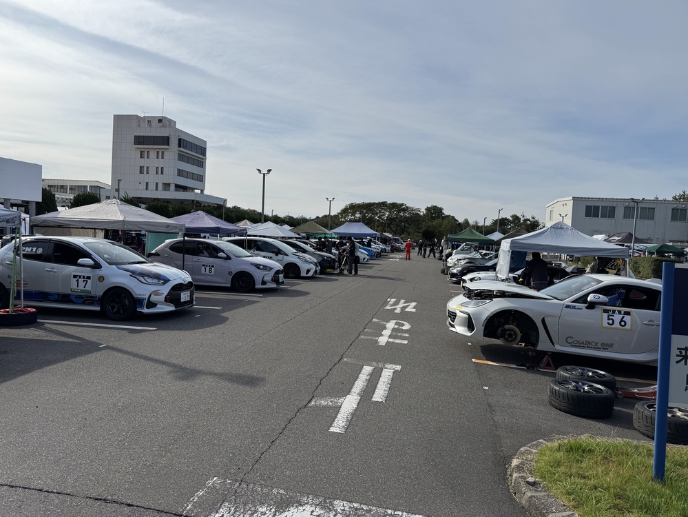IMG_1137.jpeg