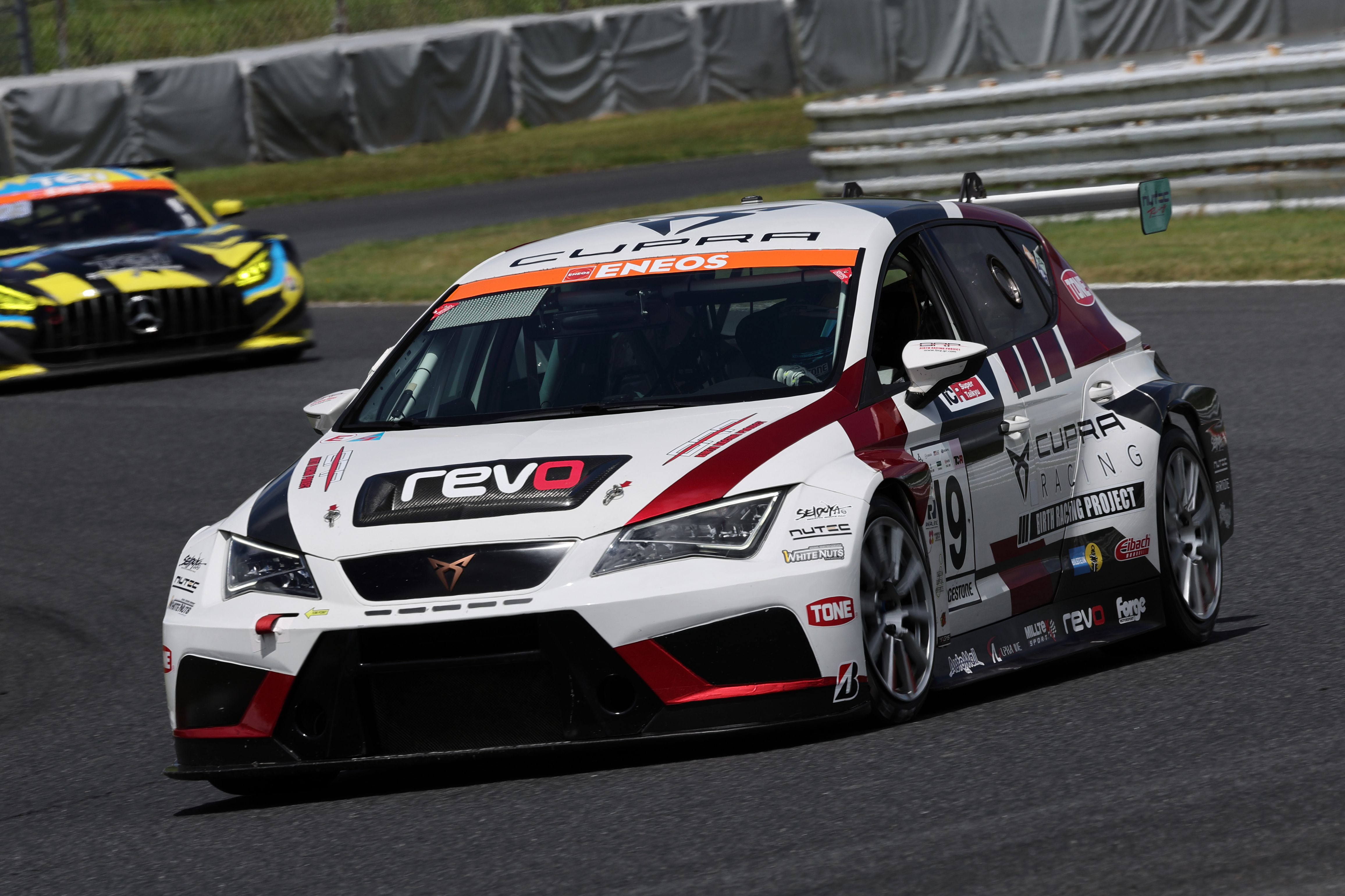 stTCR_019_BRP.jpg